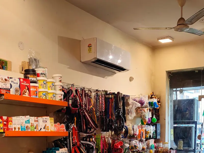 Foodypets - Pet Accessories In Rohini - Pet Grooming In Rohini, photo 2