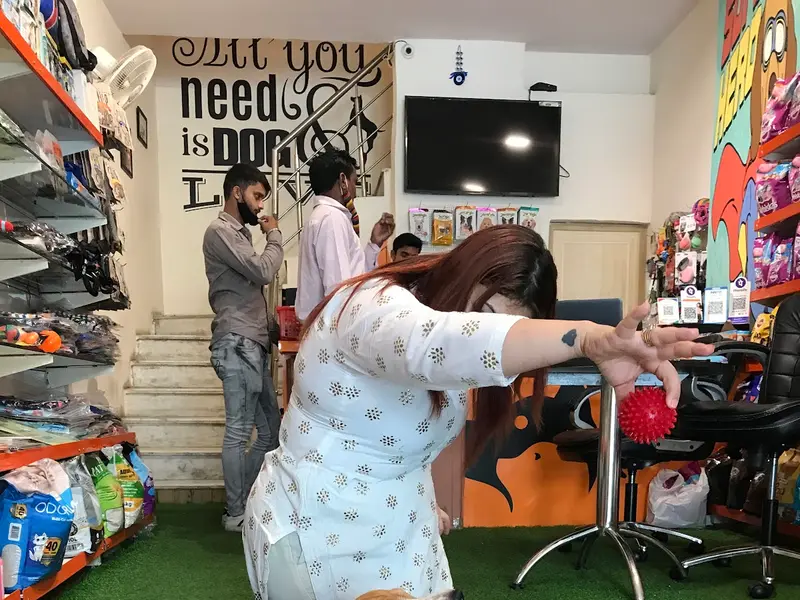 Foodypets - Pet Accessories In Rohini - Pet Grooming In Rohini, photo 3