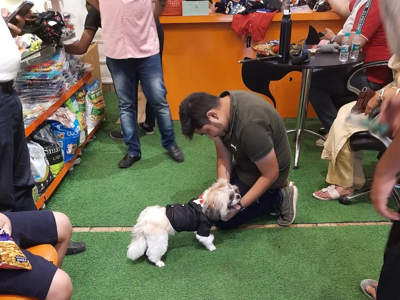 Foodypets - Pet Accessories In Rohini - Pet Grooming In Rohini, photo 5
