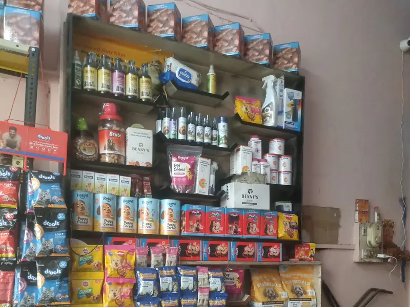 MIKKU PET SHOP, photo 3