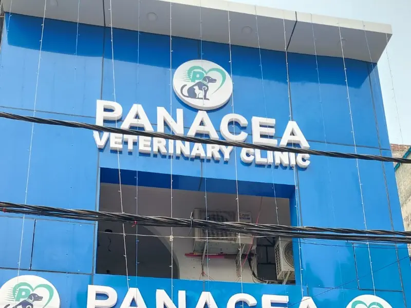 Panacea Veterinary Clinic, photo 2