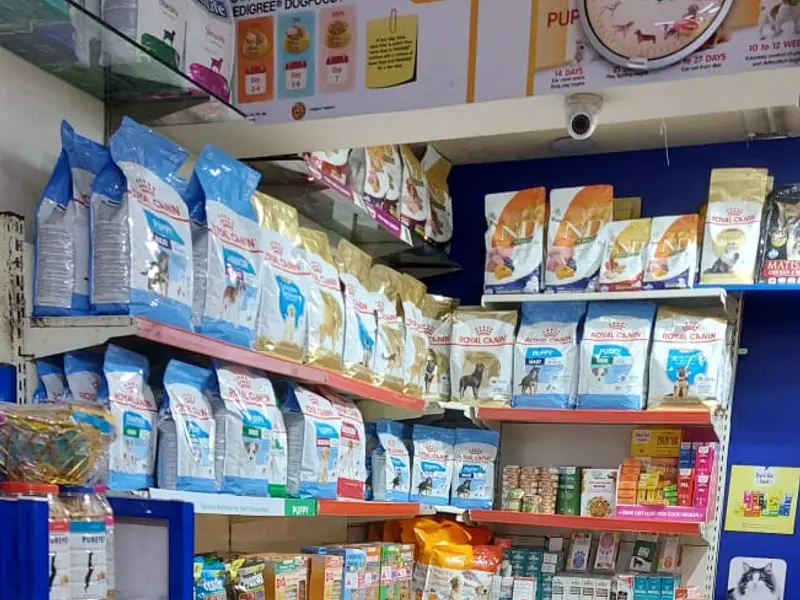 Panacea Veterinary Clinic, photo 3