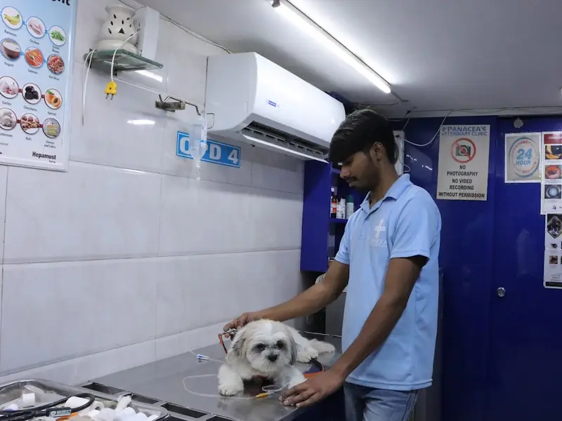 Panacea Veterinary Clinic, photo 5
