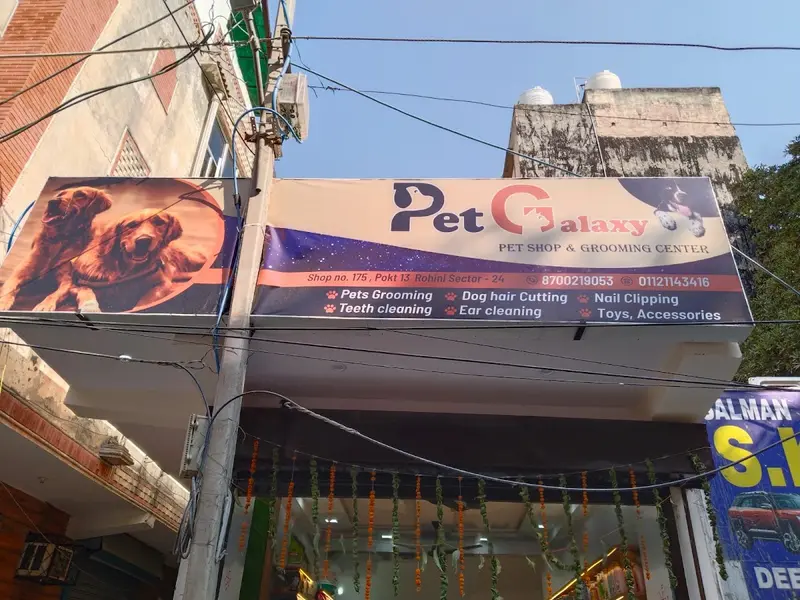 Pet Galaxy pet Shop Grooming Centre, photo 4