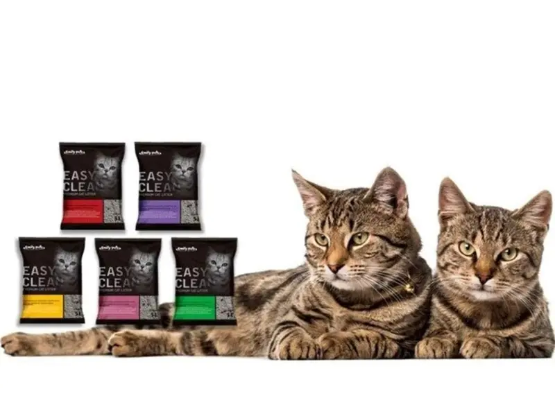pet nation, photo 4