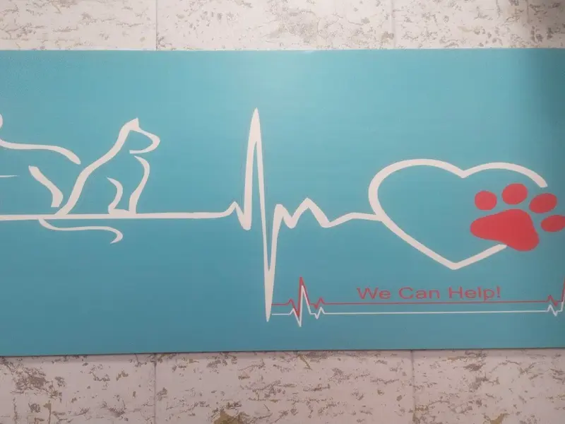 Petic petz Vet Care, photo 2