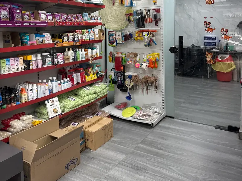 Pet's Planet India Pets Clinic, Rohini sector 16, photo 2