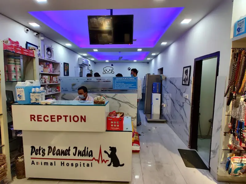 Pet's Planet India Pets Clinic, Rohini sector 16, photo 3