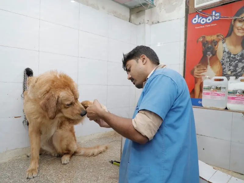 Rohini Pets Hospital, photo 3