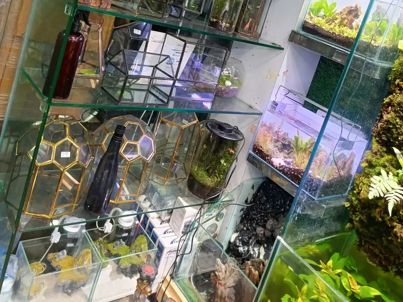 Sagar Fish Aquarium, photo 2