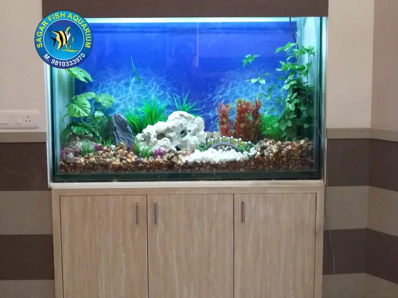 Sagar Fish Aquarium, photo 3