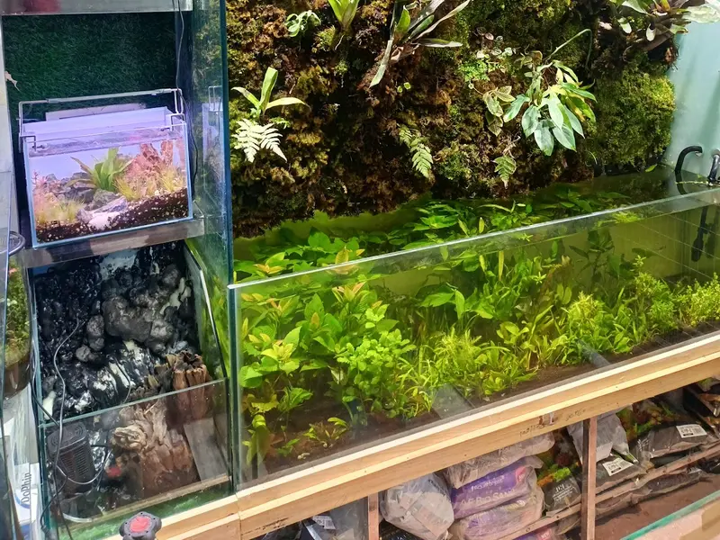 Sagar Fish Aquarium, photo 5