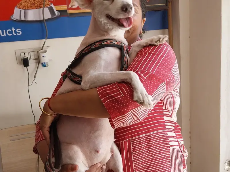 Wow pets shop, photo 3