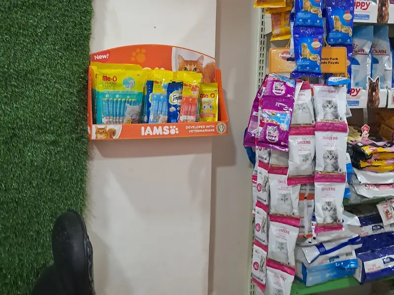 Wow pets shop, photo 5
