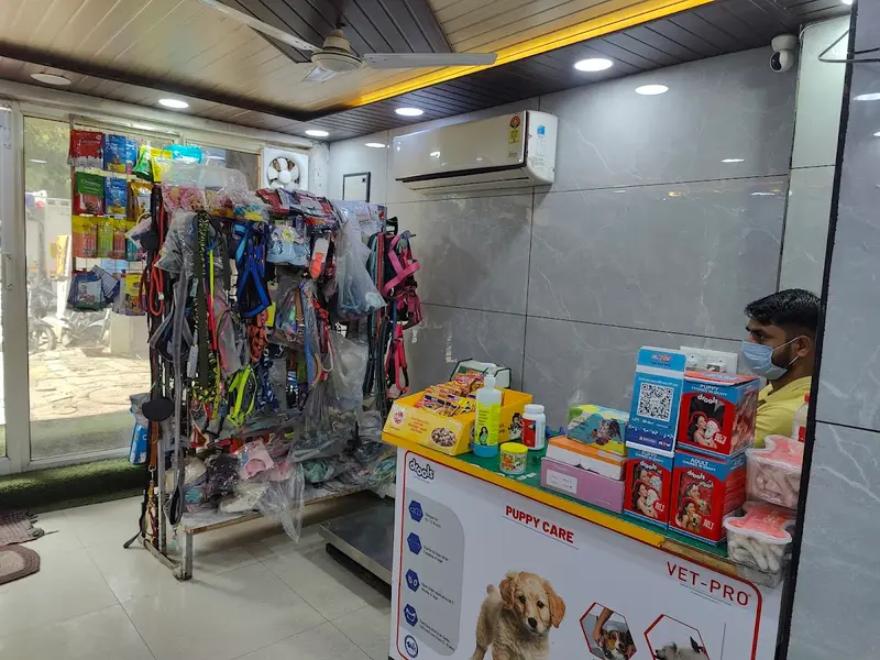 R K Wellness Pet Clinic, photo 2