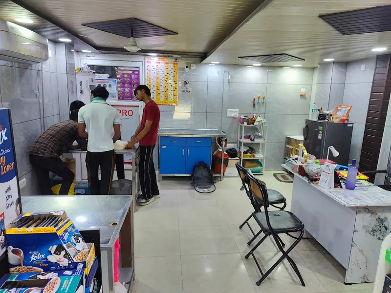 R K Wellness Pet Clinic, photo 4