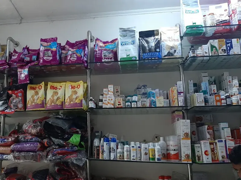 R K Wellness Pet Clinic, photo 5