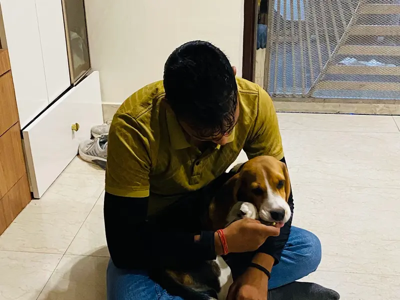 Dog Trainer Deepak and boarding house, photo 4