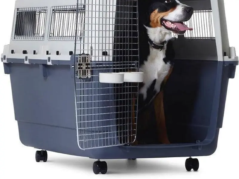 Animal Cage IATA Flight Kennel & Products Dealer, photo 2