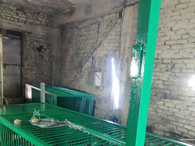 Animal Cage IATA Flight Kennel & Products Dealer, photo 3
