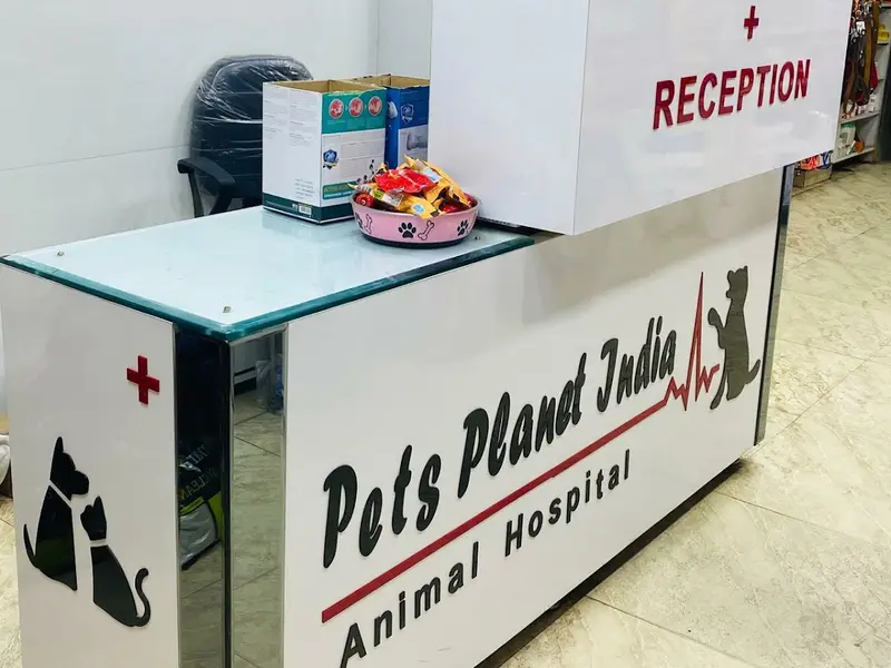 Pet's Planet India Pets Clinic Ranibagh, photo 3