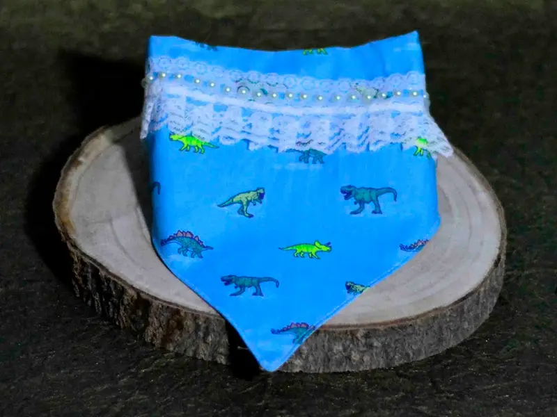 Binkymart : Designer Products for Dogs & Cats - Customized Dress, Tuxedo, Frock, Lehnga, Shirt, Jacket, Kurta, etc., photo 4