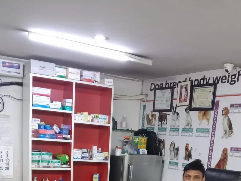 Pet Zone Dog & Cat Clinic, photo 2