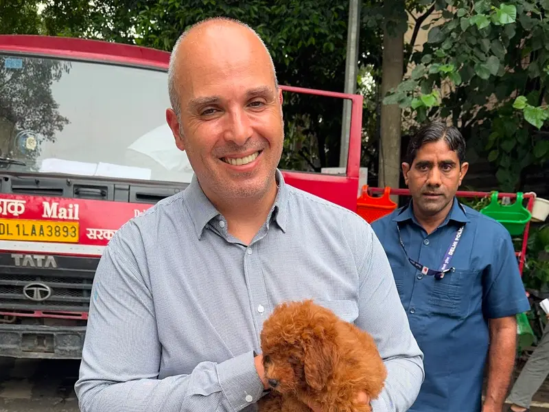 Poodle puppies for sale in delhi |Ncr| Gurugram, photo 5