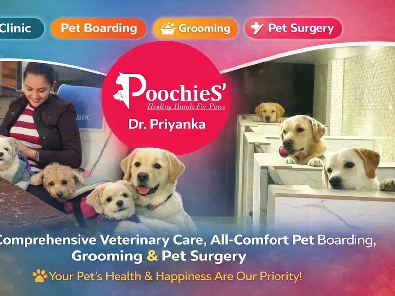PoochieS' Pet Clinic, photo 3