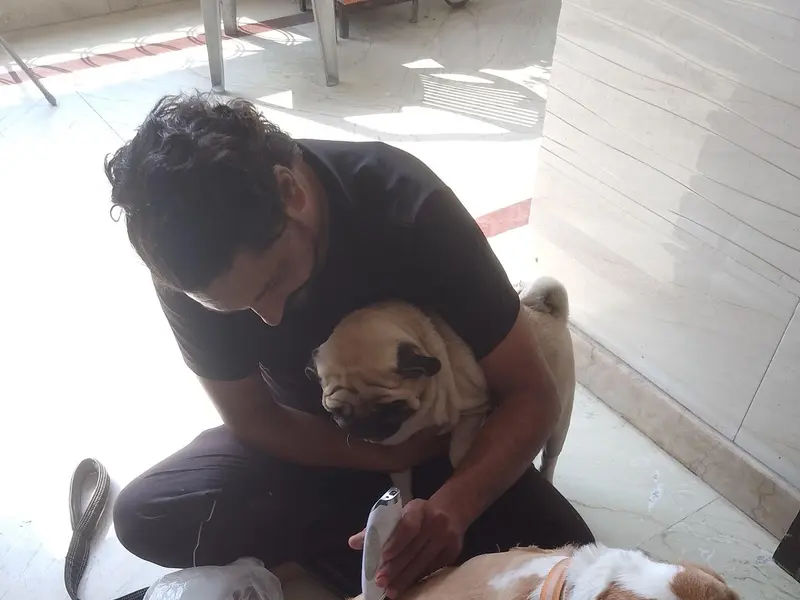 Deep Pet Care, photo 5