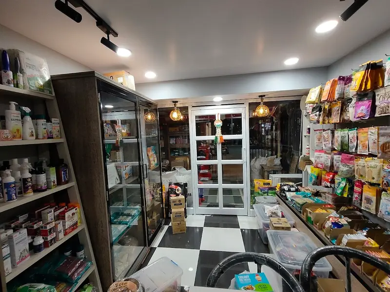 K9 Pet Shop, photo 3