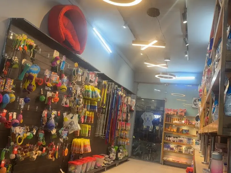 Asia Pet Shop - Dogs And Puppies For Sale In Delhi NCR | Poodle Puppies | Husky | Shih Tzu, photo 3