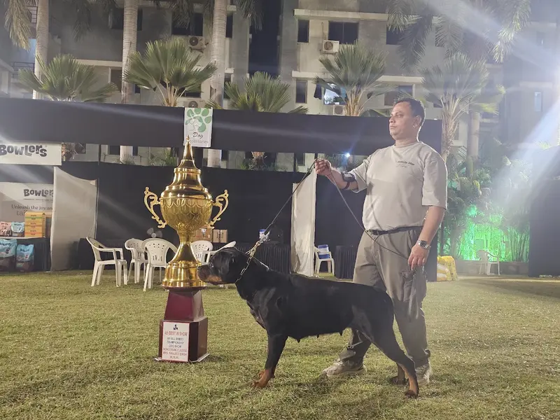 Dog Trainer Mr.Rakesh, photo 2