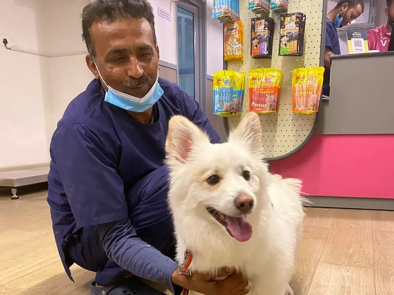 Vetic Pet Clinic Vasant Kunj, photo 3