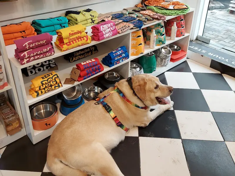 Heads Up For Tails Pet Store & Spa - Vasant Vihar, New Delhi, photo 3