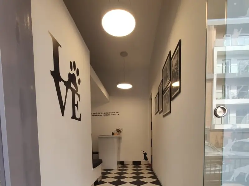 Heads Up For Tails Pet Store & Spa - Vasant Vihar, New Delhi, photo 5