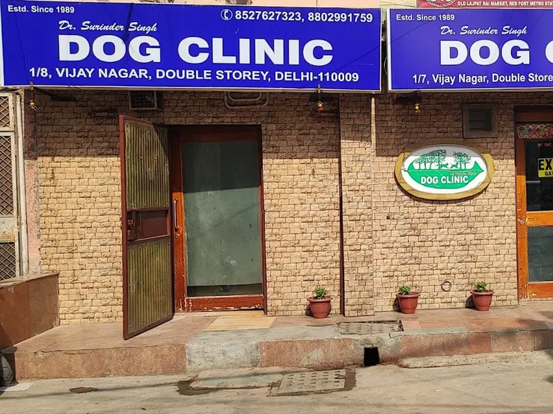 Dr. Surinder SIngh's Dog Clinic Estd 1989, photo 4