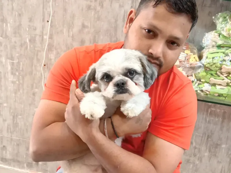 City Dog Spa and Pet Shop, photo 3