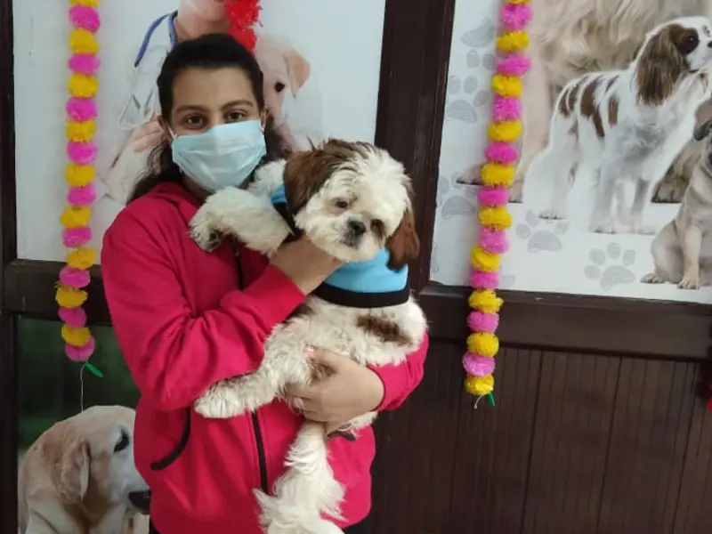 Dr. Poonia pet centre 24x7, photo 3
