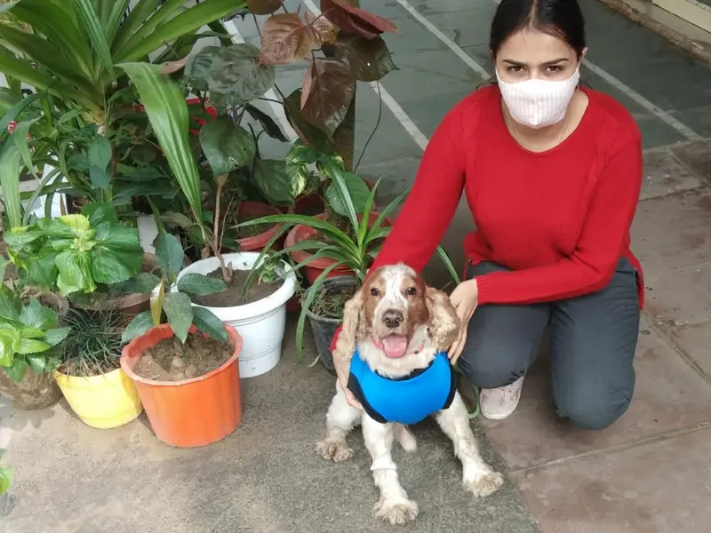 Dr. Poonia pet centre 24x7, photo 5