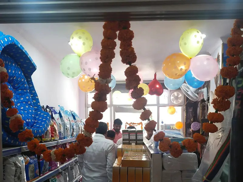 Grooming Centre & Pet Shop-Best Pet Grooming Centre In Vikas Puri-Pet Shop In Vikas Puri, photo 4
