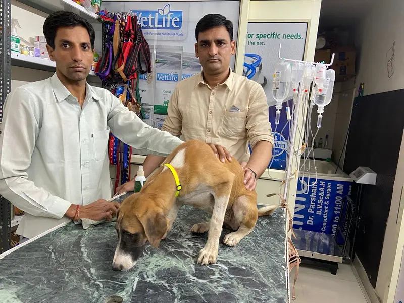 MAX PET CLINIC, photo 2