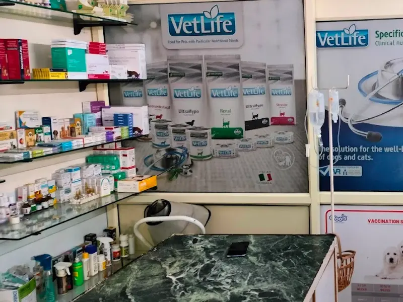 MAX PET CLINIC, photo 4