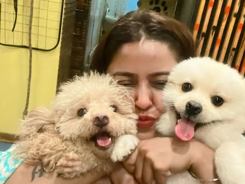 New Zoey's Pet Hostel 24×7, photo 2