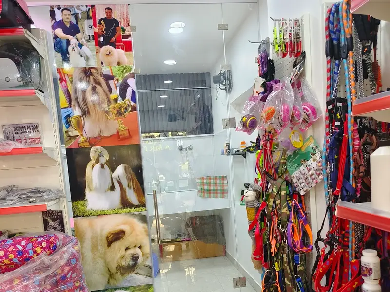 Pet Studio - Pet Store in Vikaspuri, photo 3