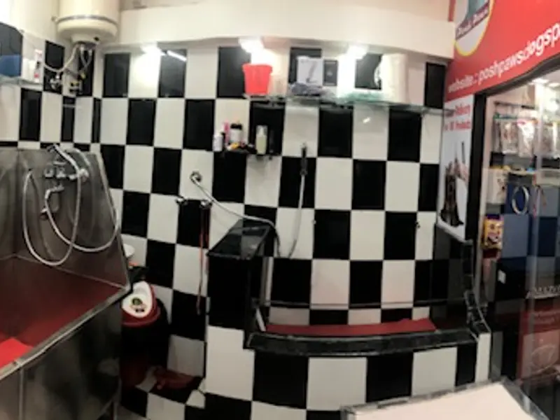 Posh Paws Dog Spa, photo 2