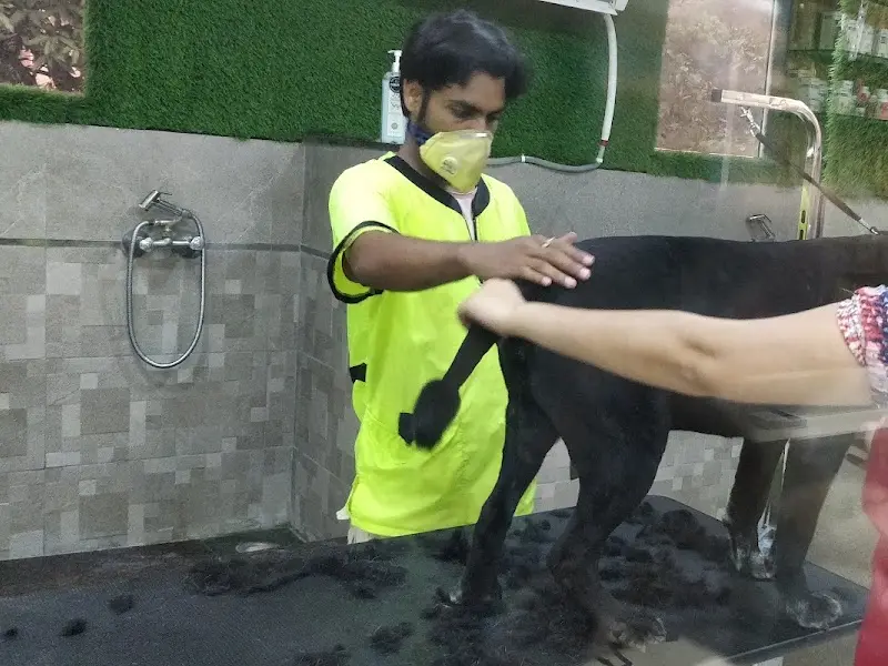 Scoops Spa, photo 5