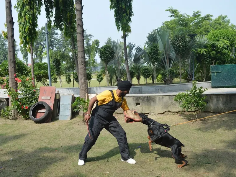 SKS K9 Trainer, photo 3