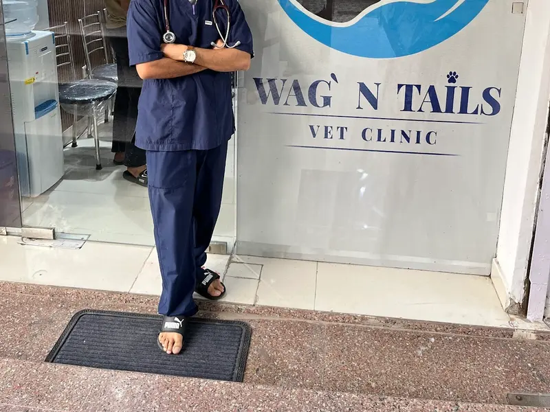 WAG' N TAILS (VET CLINIC), photo 2