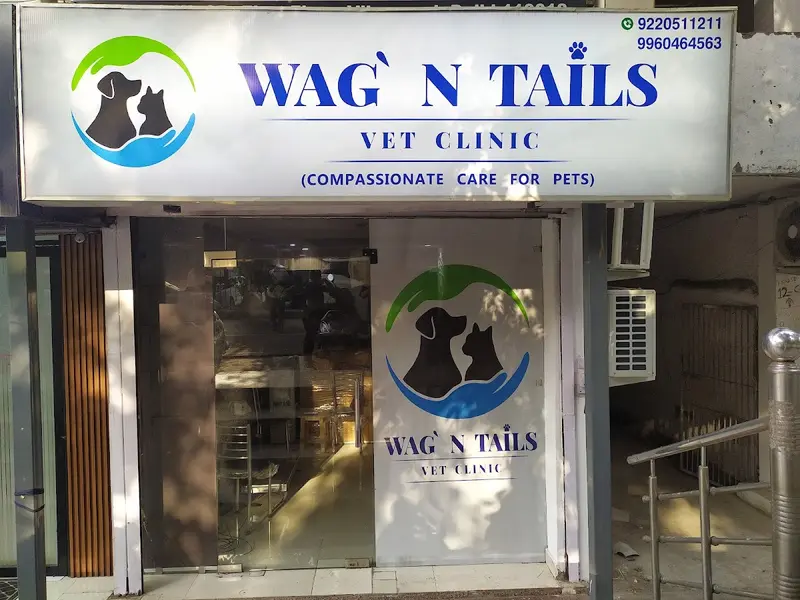 WAG' N TAILS (VET CLINIC), photo 4